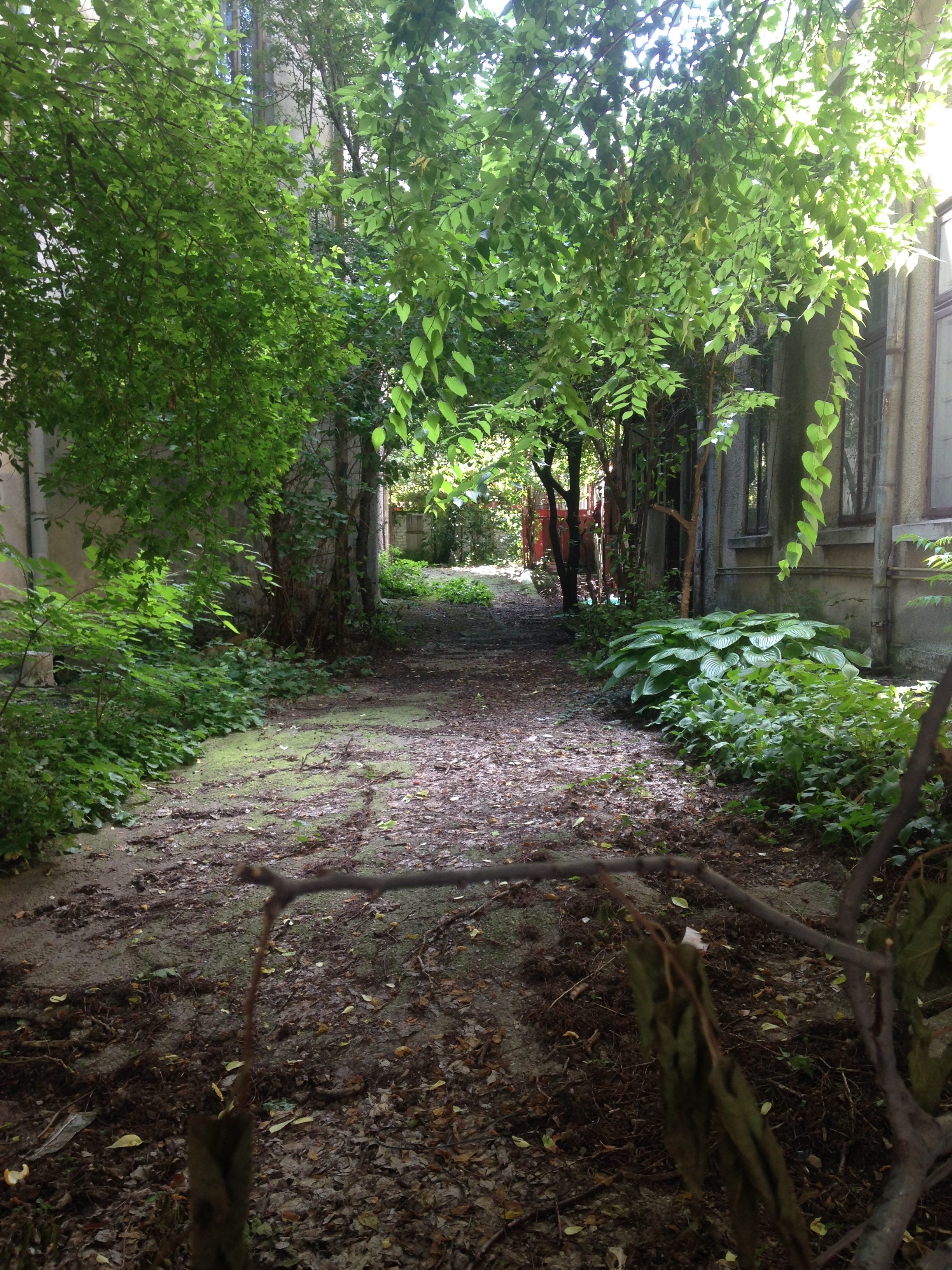 deserted garden bucharest