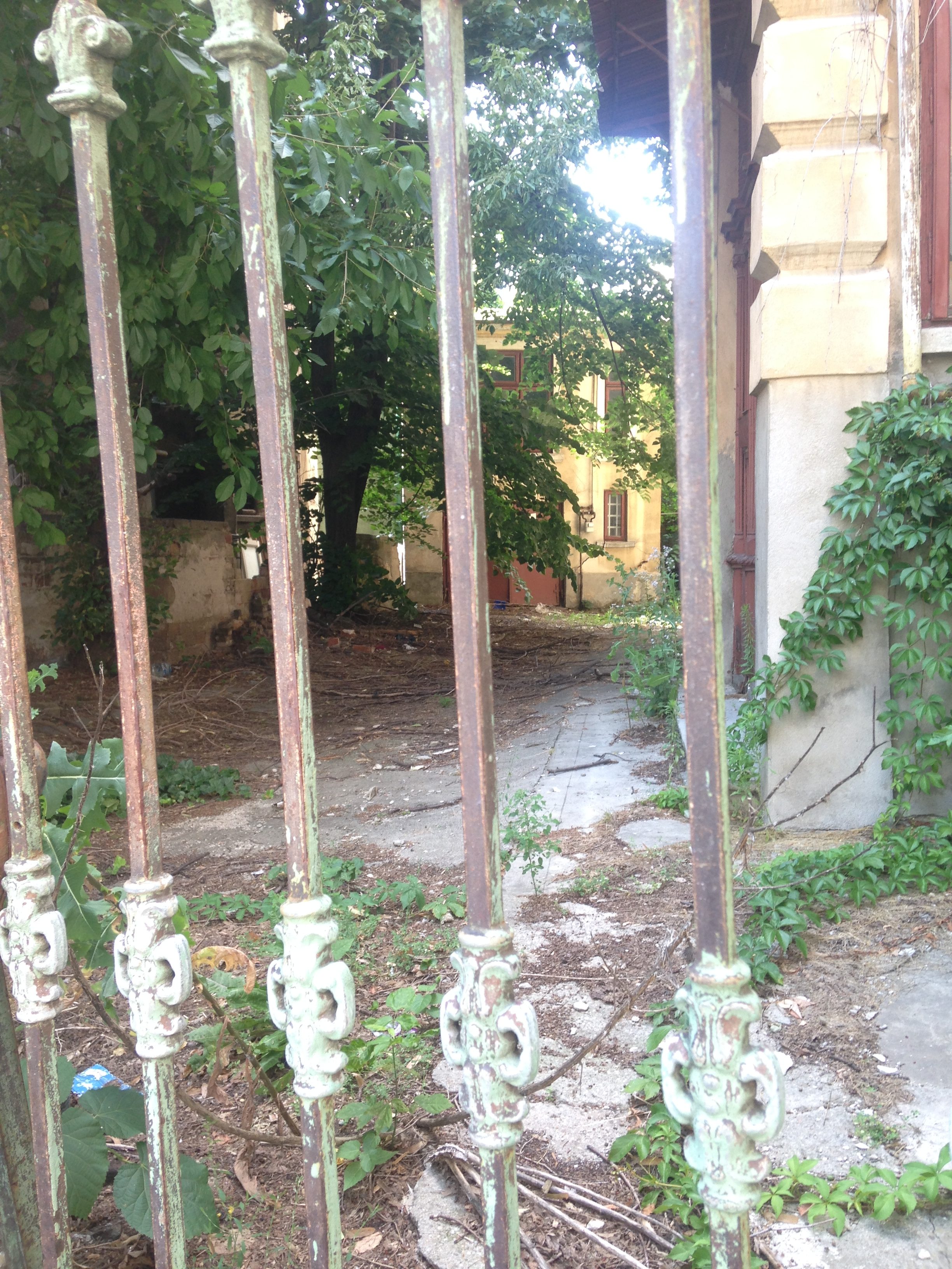 garden behind gate bucharest